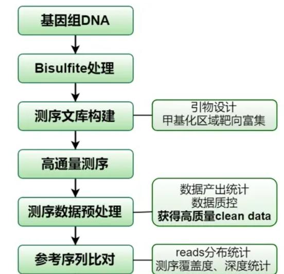 	基因组重测序