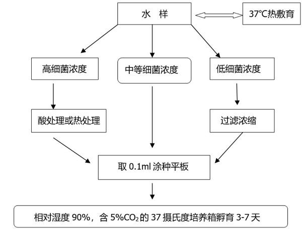 隐藏在空调里的“杀手”——军团菌