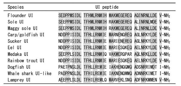 UROTENSIN I