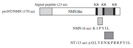 Neurotensin