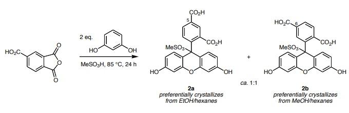 Preparation of 5- and 6-Carboxyfluorescein