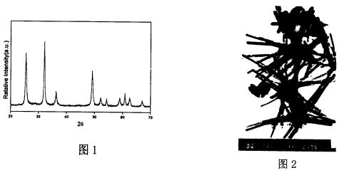 合成α、β型的二氧化铅纳米晶的方法