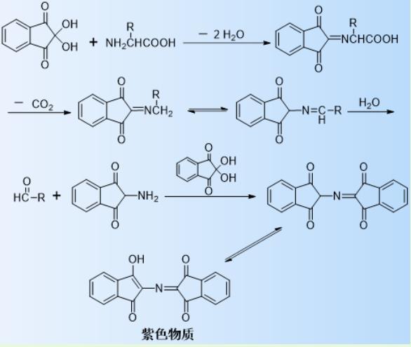 茚三酮显色及原理