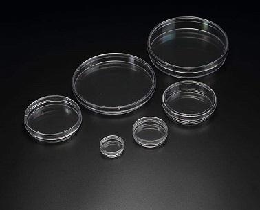 Bacterial culture dish-.jpg