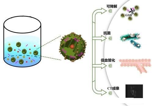 恩布酯的应用原理.png