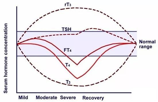 在LT3S的不同时期，血中甲状腺激素水平是不断变化的.jpg