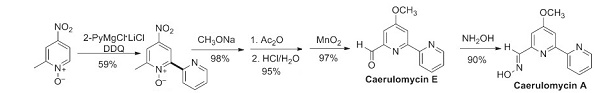 4-Nitro-2-picoline N-oxide