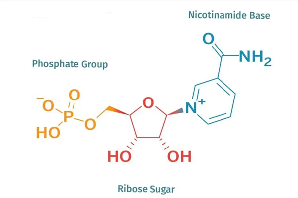 547-58-0 Methyl Orange Applications of Methyl Orange in Biodiesel Production Removal of Methyl Orange from Wastewater