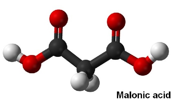 93717-55-6 2-Cyano-4'-methylbiphenyl 