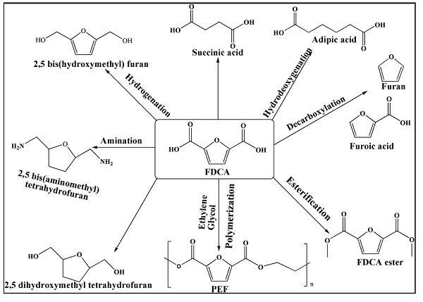 211915-06-9 Pharmacodynamic Profile of Dabigatran Etexilate Pharmacokinetic Profile of Dabigatran Etexilate Therapeutic Efficacy of Dabigatran Etexilate