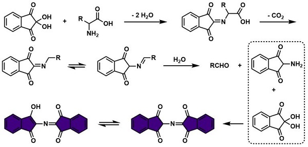 多功能显色剂——茚三酮（Ninhydrin）