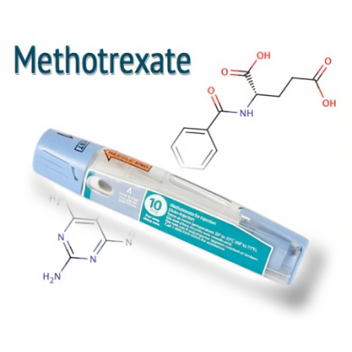 59-05-2 Methotrexate Mechanism of ActionMechanisms of Resistance