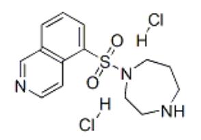 105628-07-7 Fasudil HydrochlorideApplicationsSide Effects