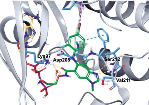 Figure 1. Co-crystal structure of binimetinib and  AMP-PNP with BRAF–MEK1 (PDB ID: 7M0U).