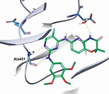 Figure 1. Co-crystal structure of tamatinib (parent  drug of fostamatinib) with SYK (PDB ID: 3FQS).