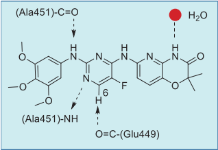 Figure 2. Summary of tamatinib–SYK interactions  based on their co-crystal structure