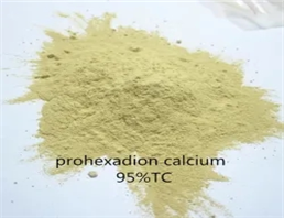 Prohexadione-calcium