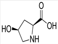 3398-22-9 trans-4-Hydroxy-D-proline