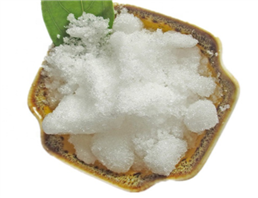 Camphor