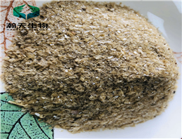 Root divinorums extract powder