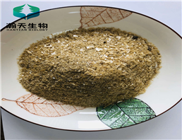 Root divinorums extract powder