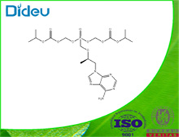 Tenofovir disoproxil USP/EP/BP