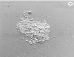 Ecdysterone