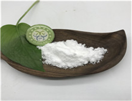 1,11-Undecanedicarboxylic acid / UNDECANE-1