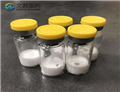 1H-Benzimidazole-5-methanol,1-methyl-(9CI) pictures