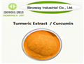 458-37-7 Nanoactive Curcumin