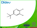 2,3-DIBROMO-5-(TRIFLUOROMETHYL)PYRIDINE pictures