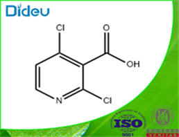 2,4-Dichloropyridine-3-carboxylic acid