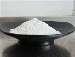 Methyl Methanesulfonate