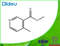 Methyl 4-methylnicotinate  pictures