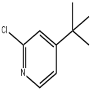 4-tert-butyl-2-chloropyridine