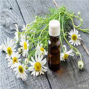 Chamomile oil