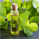 Patchouli Oil;Patchouli Essential Oil pictures