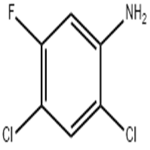 2,4-dichloro-5-fluoroaniline