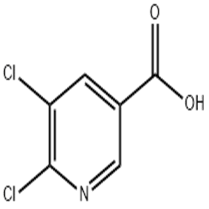 5,6-Dichloronicotinic acid