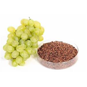 Grape Seed Extract