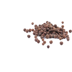 BLACK PEPPER OLEORESIN