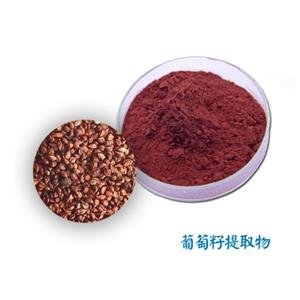 Grape Seed Extract