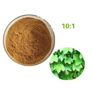 Ivy Leaf Extract