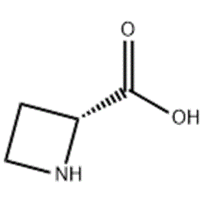 D-AZETIDINE-2-CARBOXYLIC ACID