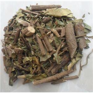 Gymnema sylvestre extract