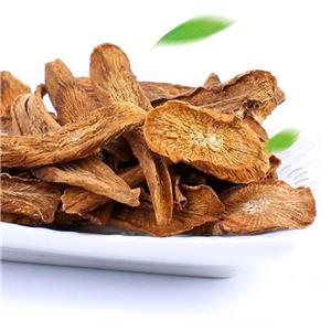 Burdok root P.E; Arctium lappa root extract