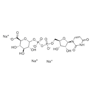 UDP-GlcA.3Na