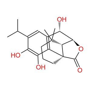 Rosmanol