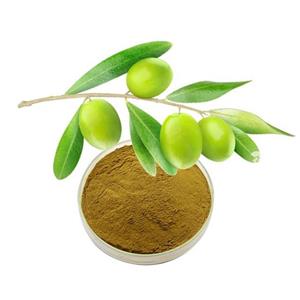 Olive leaf extract