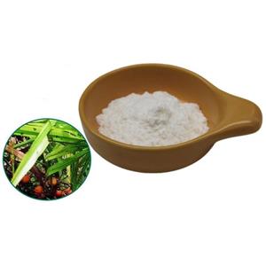 Saw Palmetto extract